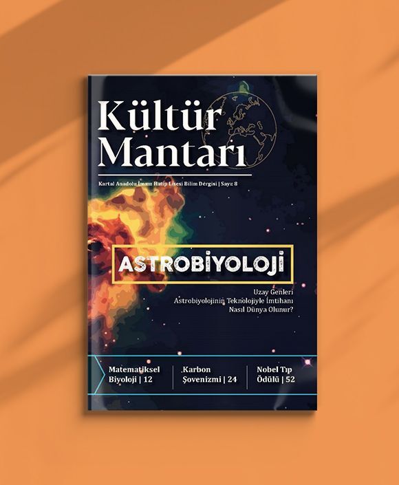 Kültür Mantarı